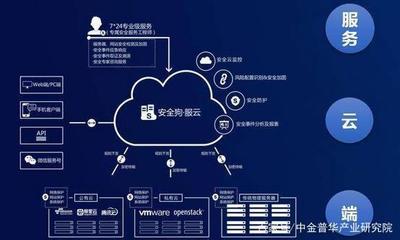 云安全浪潮 2021年全球支出预计达35亿美元，构筑数字时代新防线